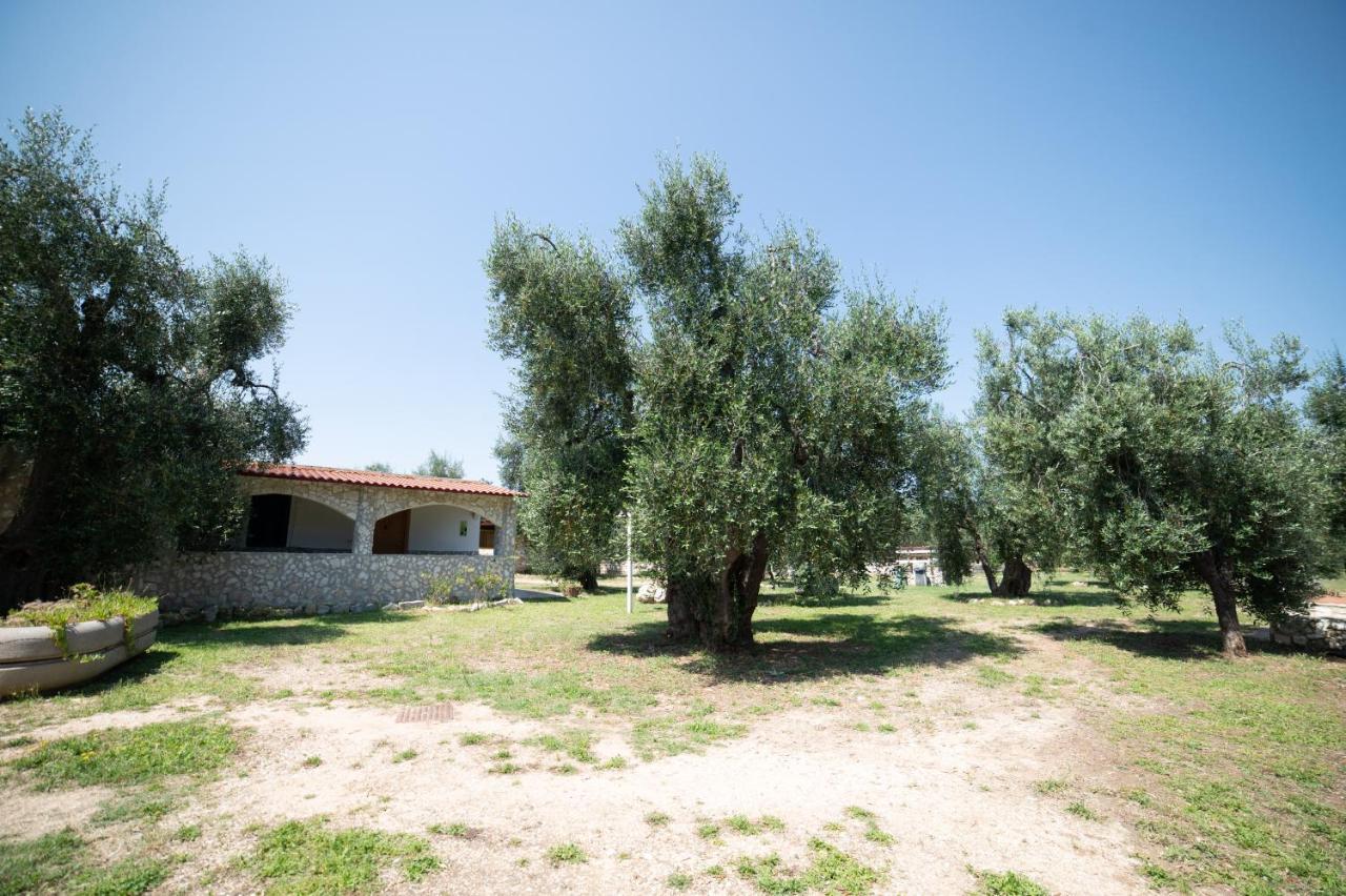 Coppola Rossa Relax Bed & Breakfast Vieste Eksteriør bilde